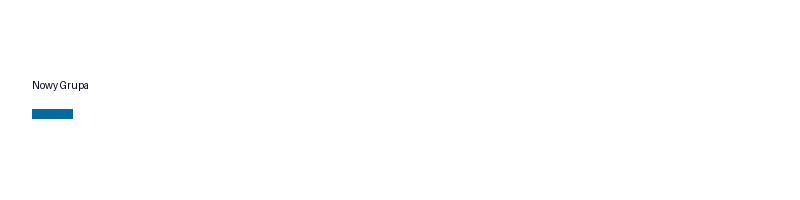Nowy Grupa logo